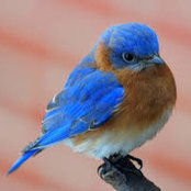 Jeanette Carpenter's photo