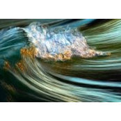 Francesca Morgante's photo