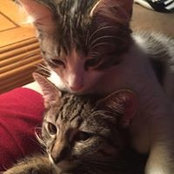 Billie King's photo