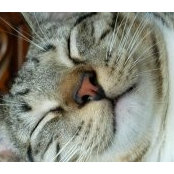 Rebecca Wilova's photo
