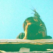 Photo de Ava Labuzetta