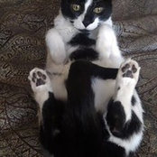 Heather McDowell's photo