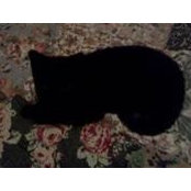 Elle Smith's photo