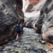 Lyssa Sanchez's photo