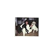 Moe DiStefano's photo