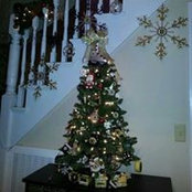 Diane Allain's photo