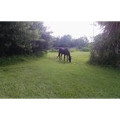 Carolyn Shook's photo
