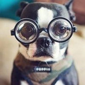 Alice Freeman Prota's photo