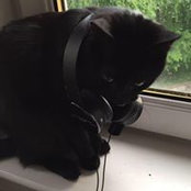 Katie Ford's photo