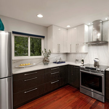 Sleek Contemporary White Kitchen, New Market, Maryland