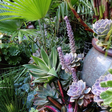 Container gardens