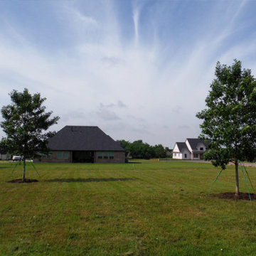 Shade Trees for Texas