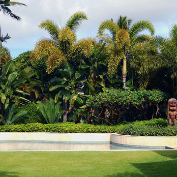 Oahu Landscapes