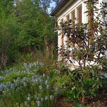 Green Springs: Growing a New Old Garden