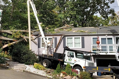 Emergency Tree Removal Services in Naugatuck, CT