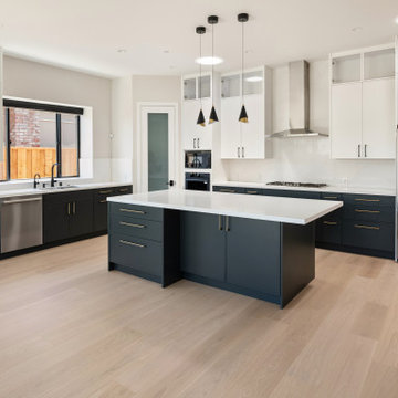 New residence, Cupertino - 4