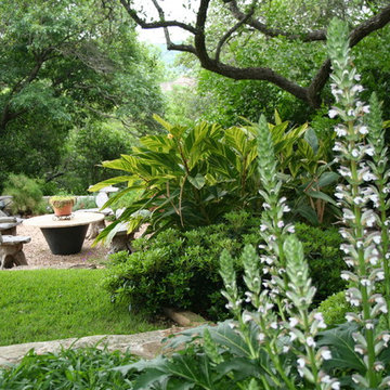 Traditional garden in Northwest Hills