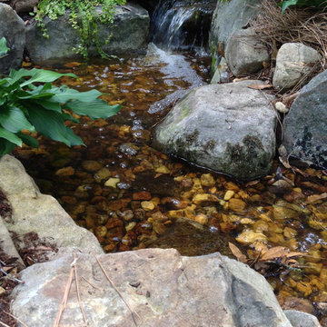 Water Features