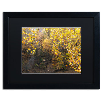 'Golden Autumn 2' Matted Framed Canvas Art by Kurt Shaffer