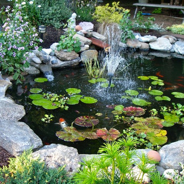 Littlefield Farm: Koi Pond Progression