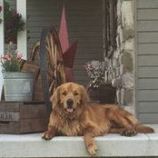 Evan Kennedy's photo