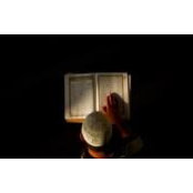 Abdallah Tarek's photo