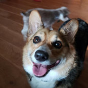 Lauri Lindgren's photo