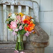 Rita Schouten's photo