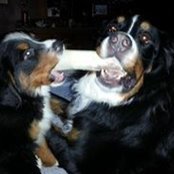Foto de Beth Brookhouse
