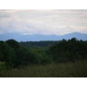 Kathy McLaughlin's photo