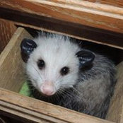 Jill Silva's photo