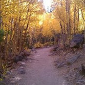 Amanda Kindt's photo