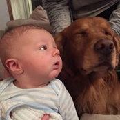 Jordan Wilberger Sauer's photo