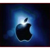 WQing Ang's photo