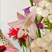 Gail Sun's photo