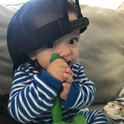 Noah Landss billede