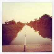 Jenelle Webb's photo