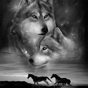 Rita Katz's photo