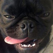 Carrie Williams's photo