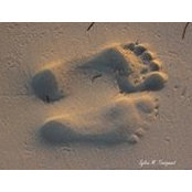 Sylvie Morin Tousignant's photo