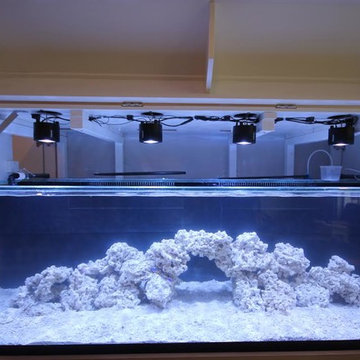 Media Room with Aquarium