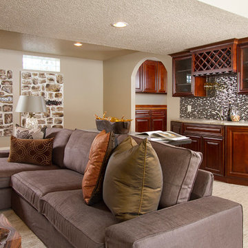 Edina Rambler renovation and addition.