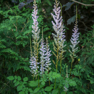 My Houzz: A Canadian Garden Is Well-Prepared for the Cold Weather Ahead
