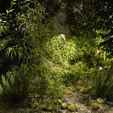 Un jardin original à Toulon