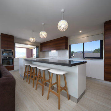 Modern Minimalist Kitchen/Dining/Outdoor