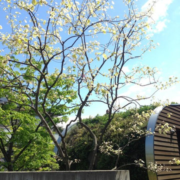 練馬区 離れのある庭