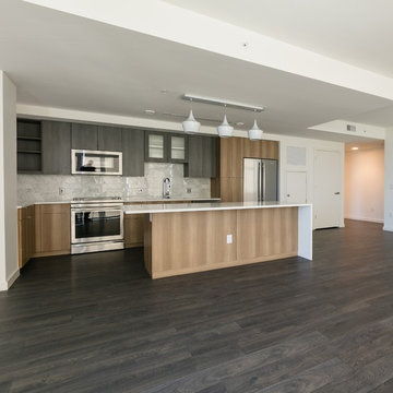 Union Denver - Evoke 'Robin' Laminate