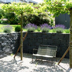 Hochbeet mit Blumen und Weinreben - Modern - Garten - Köln - von Garten