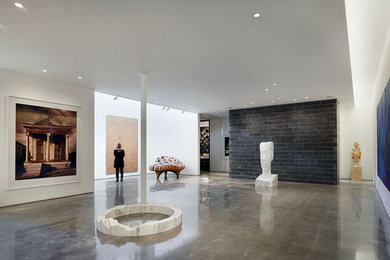 Basement - modern basement idea in Kansas City