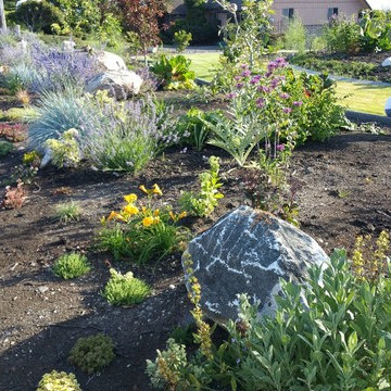 Edible Front Yard